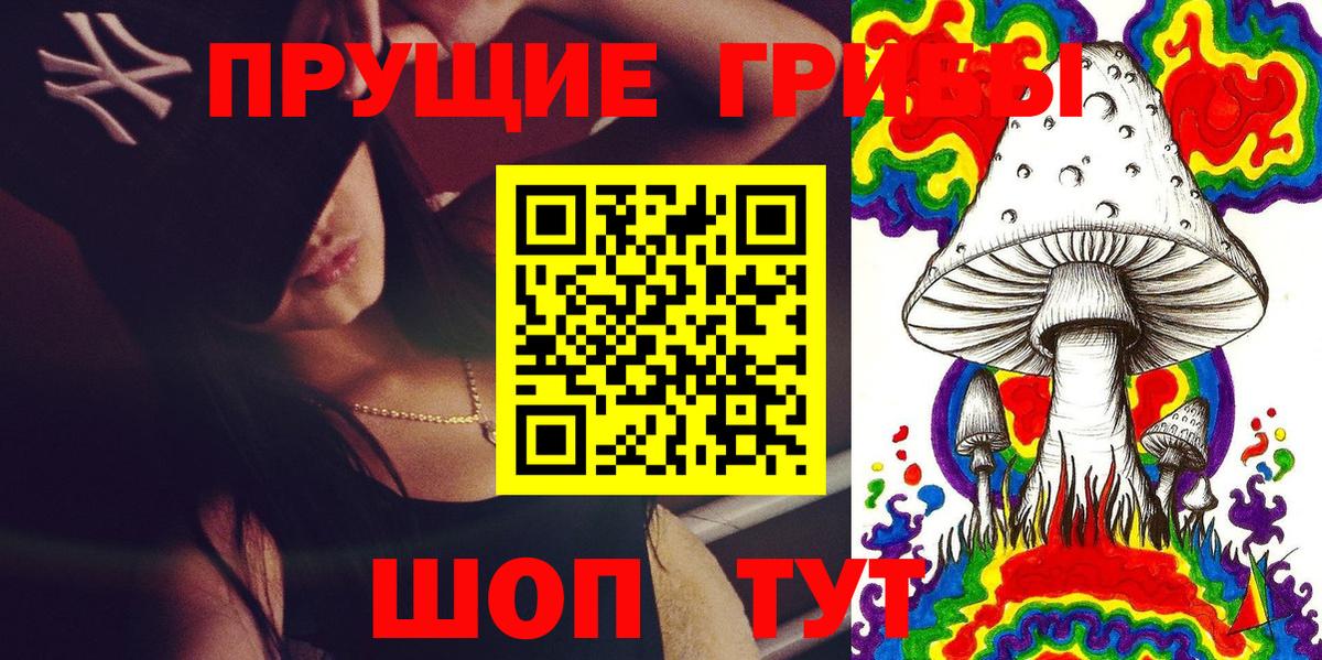 Псилоцибиновые грибы прущие грибы Санкт-Петербург