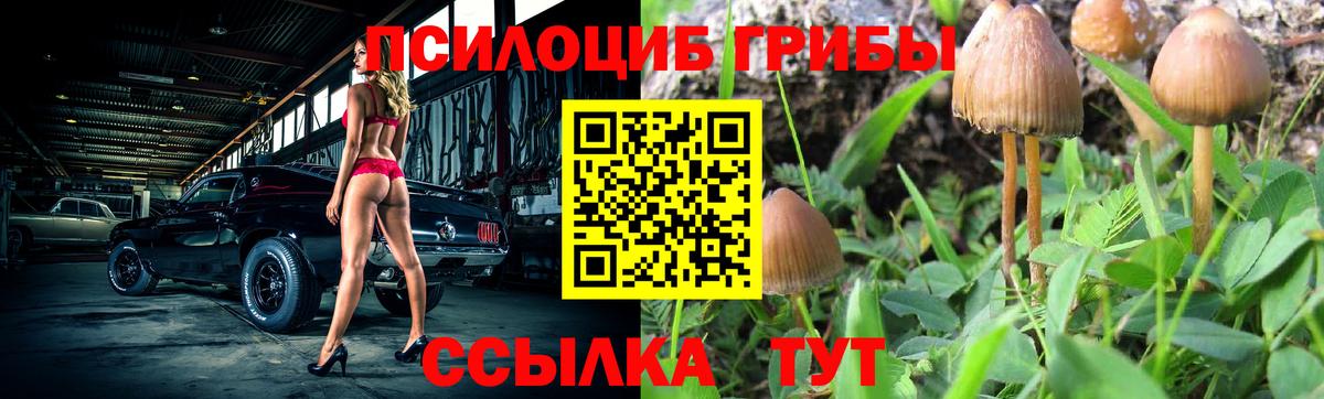 Санкт-Петербург  закладка  Вход с VPN  Псилоцибиновые грибы ЛСД 